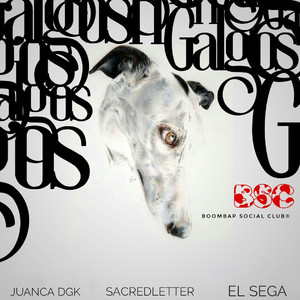 Galgos
