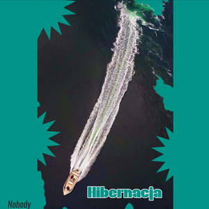 Hibernacja