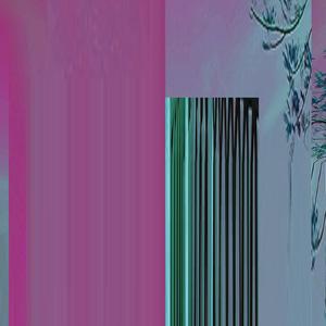 FRAGILEHEART666 (feat. Knivsout)