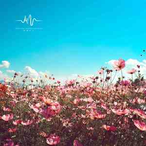 轻轻松松 (舒缓曲)