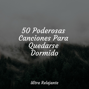 Desintoxicar el Cuerpo