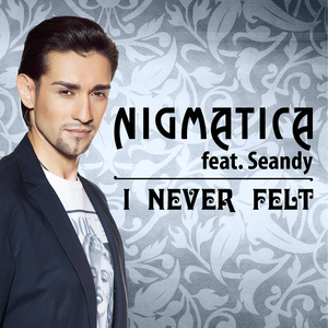 I Never Felt (Original Mix) (feat. Seandy)