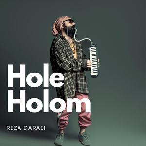 Hole Holom