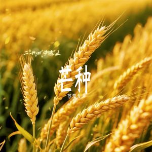 芒种 二十四节气