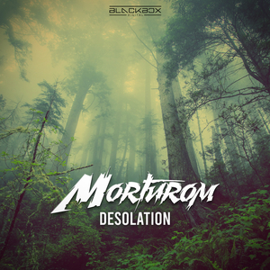 Desolation (Original Mix)