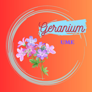 Geranium