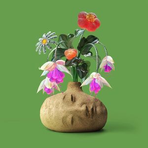 我的心里只有你没有他