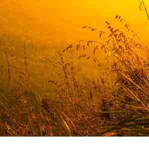 月坠花折 (长笛曲)