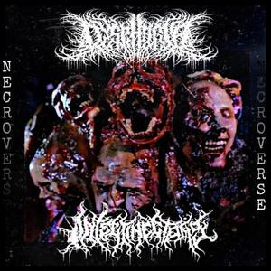 Necroverse (feat. Intestinectomy)