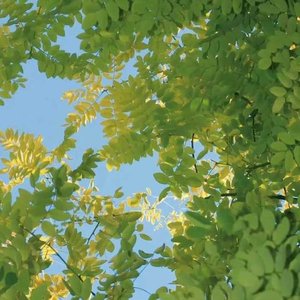 关系归零一瞬间