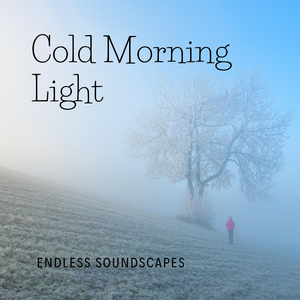 Cold Morning Light