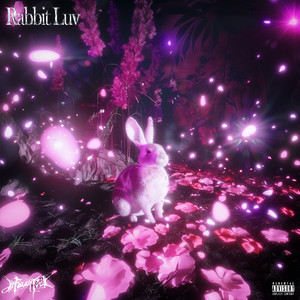 Rabbit Luv(ProdBy.Morrow)