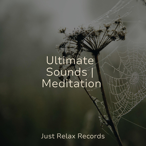 Echoes of Unspoken Desires