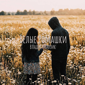 БЕЛЫЕ РОМАШКИ
