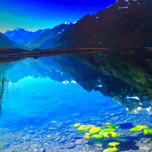 Got Divorce Today Was Still Married Yesterday