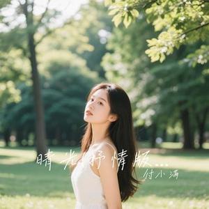 晴光