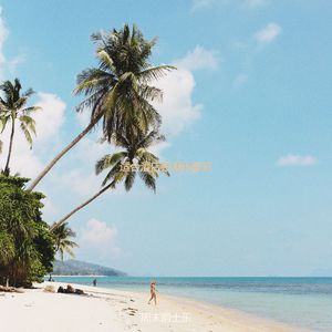 旅馆时尚的爵士