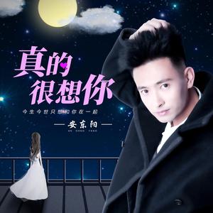 真的很想你 (伴奏)