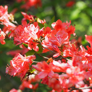 心から大丈夫と言えるその日まで