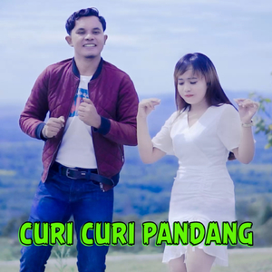Curi Curi Pandang