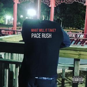 What Will It Take? (For Real)