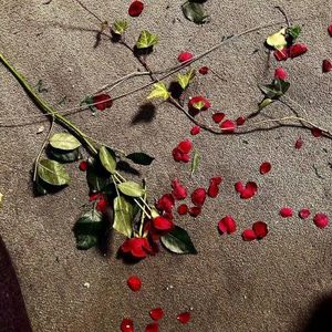 伤疤（prod lakewavebeatz）