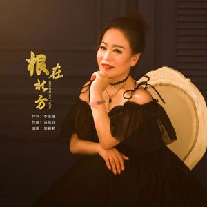 根在北方