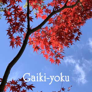 Gaiki-yoku