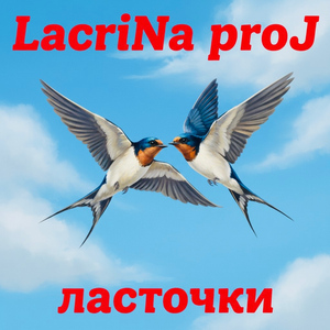 Ласточки