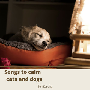 Sounds Dogs Like to Hear