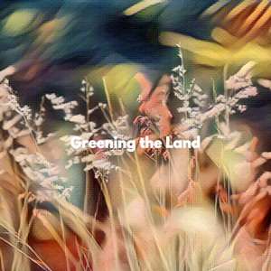 Phenomenal Emotional Flow