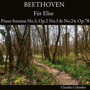 Piano Sonata No. 3, Op. 2 No. 3: IV. Allegro assai