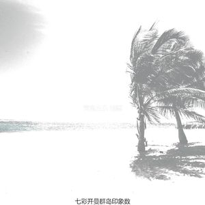 微妙的热带海滩心情