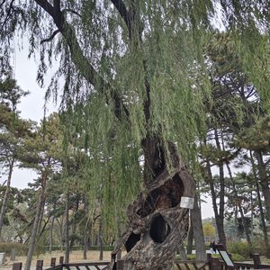 秋天，享受孤独