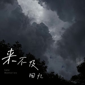 来不及回忆