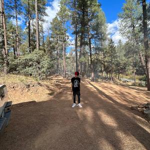 Turn a new leaf Pt. 2