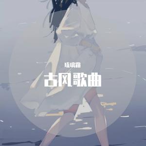 星辰泪（翻自 董真）
