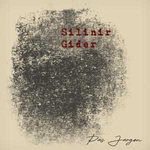 Silinir Gider