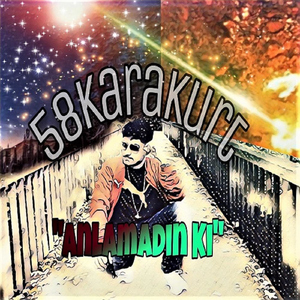 Anlamadinki