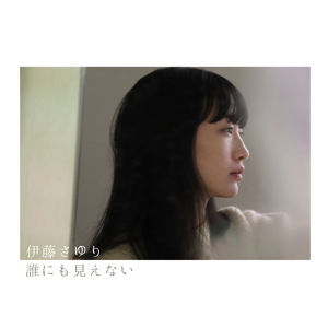 誰にも見えない
