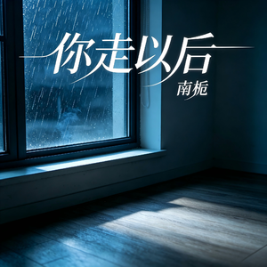 你走以后