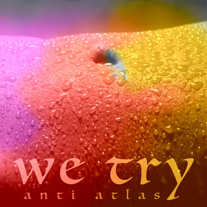 We Try (radio edit)