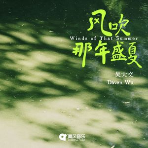 风吹那年盛夏