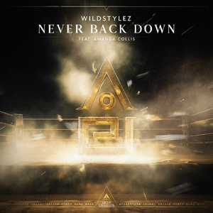 Never Back Down (Extended Mix)