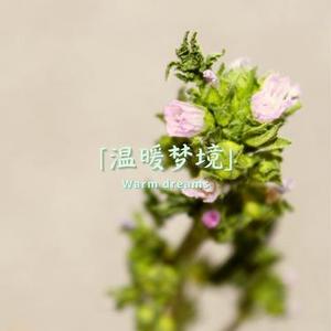 甜美梦境曲  夜晚的摇篮