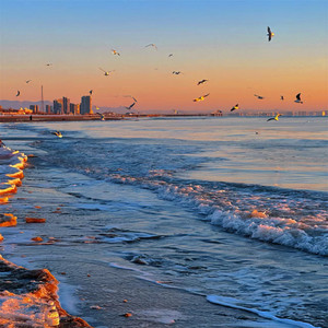 Jar of love (DJ纯享)