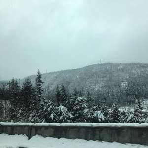 雪（prod by DOLBEATZ&SEPH