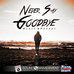 Never Say Goodbye (Radio Edit)