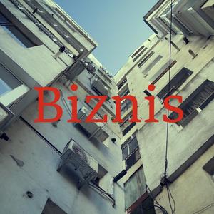 BIZNIS