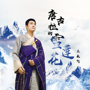 唐古拉的雪莲花